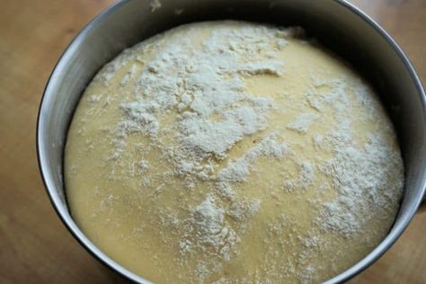 Refrigerator Bread Dough Recipe, Stand Mixer Recipes, Homemade Bread Dough, Sourdough Pizza Dough, Homemade Yeast Rolls, Bread Dough Recipe, Cooking Substitutions, Mixer Recipes, Homemade Rolls