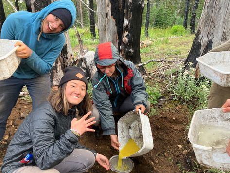 Idaho Conservation Corps Hiking Core, Camp America, Conservation Corps, Bear Hunt, Wildlife Biologist, Ron Swanson, Go Hiking, Happy Campers, Go Outside