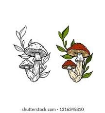 Fungal Tattoo, Mushroom And Leaves Tattoo, Mushroom Filler Tattoo, Wild Mushroom Tattoo, Mushroom Botanical Tattoo, Gnome Mushroom Tattoo, Celestial Mushroom Tattoo, Mushroom Cluster Tattoo, Tiny Mushroom Tattoo Simple