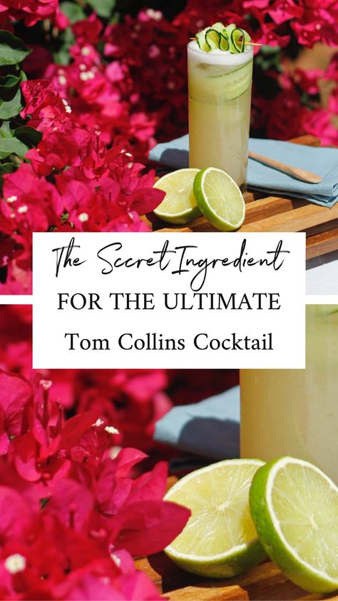 Tom Collins Cocktail Recipe Tom Collins Recipe Gin, Tom Collins Drink Recipes, Gin Collins, Tom Collins Recipe, Tom Collins Cocktail, Collins Cocktail, Lime Recipes, Gin Drinks, Tom Collins