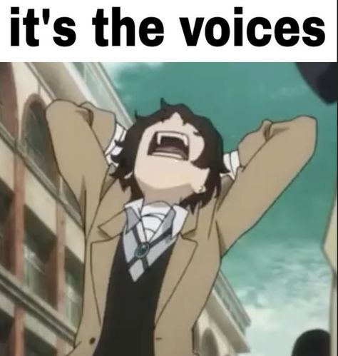 Silly Dogs, Dazai Osamu, Im Going Crazy, Bongou Stray Dogs, Stray Dogs Anime, Dog Memes, An Anime, Bungo Stray Dogs, Stray Dog