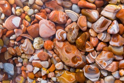 Rock Identification, Rock Tumbling, Rock Hunting, Lake Superior Agates, Rocks And Fossils, Petoskey Stone, Pretty Rocks, Cool Rocks, Rock Collection