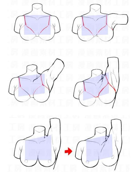 Body Structure Drawing, Anatomy Tutorial, Seni Dan Kraf, Human Anatomy Drawing, Body Drawing Tutorial, Human Anatomy Art, Body Reference Drawing, Sketches Tutorial, 캐릭터 드로잉