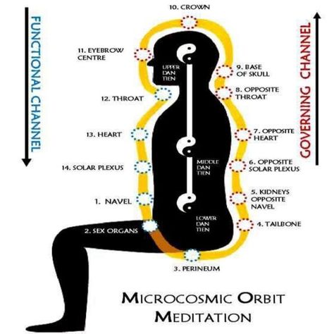 The microcosmic orbit - Taoist secret of higher consciousness - Nexus Newsfeed Microcosmic Orbit, Qi Energy, Qigong Meditation, Color Therapy Healing, Chi Gong, Qigong Exercises, Chi Energy, Tai Chi Qigong, Tao Te Ching