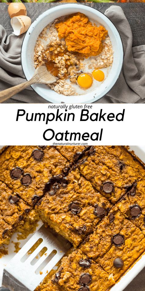 Naturally Gluten And Dairy Free Meals, Pumpkin Oat Bake Healthy, Oat Baked Breakfast, Healthy Oatmeal Bakes, Gluten Free Dairy Free Oatmeal Bake, Healthy Fall Breakfast Meal Prep, Egg Oatmeal Bake, Pumpkin Oats Healthy, Pumpkin Oat Breakfast Bars