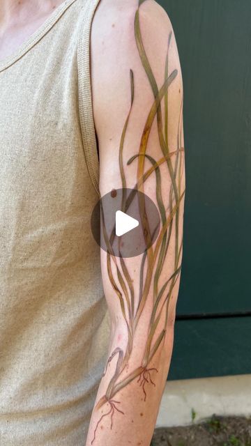 14K likes, 43 comments - grey.francis.tattoo am March 21, 2024: "Eelgrass on a marine biologist who has spent the last 18 years studying it! Eelgrass (Zostera marina) is a flowering plant with the same ..." Marine Biologist Tattoo, Washington Tattoo, Pnw Tattoo, Portland Tattoo, Seattle Tattoo, Marine Biologist, March 21, Tattoo On, I Tattoo