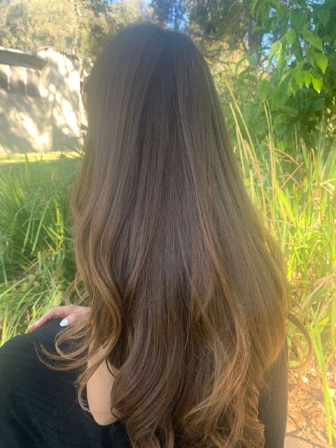 Long V Shaped Layered Hair, Long Brown Hair Aesthetic, Silky Wavy Hair, Healthy Brown Hair, Juliette Ferrars, Long Shiny Hair, Brown Hair Inspo, Tahereh Mafi, Long Healthy Hair