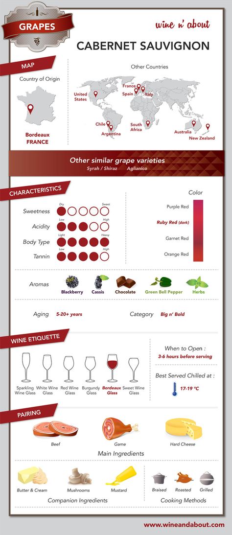 Cabernet Sauvignon Pairing, Wine Etiquette, Wine Basics, Cabernet Sauvignon Wine, Wine Knowledge, Wine Education, Wine Baskets, Wine Guide, Wine Delivery