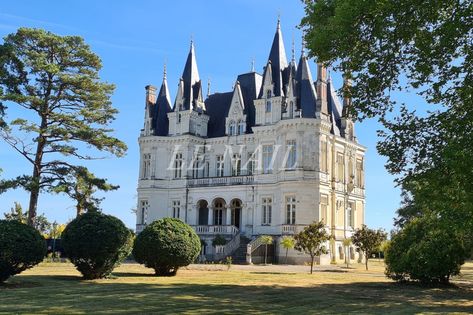 Staircase Living Room, French Chateau For Sale, Chateau For Sale, Loire River, Small Dining Room, Boiler Room, Marble Fireplace, Chateau France, Loire Valley