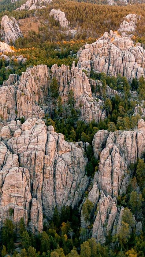 Cowboy Artwork, National Park Camping, National Parks Photography, Hiking National Parks, Forest Photos, National Parks Usa, National Parks Trip, List Ideas, Us National Parks