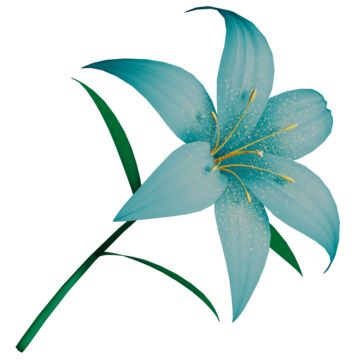 Blue Lily, Cat Air, Flower Art Images, Lily Flower, Calla Lily, Flower Art, Blue Sky, Art Images, Plant Leaves