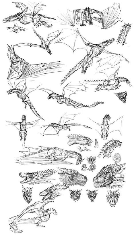 How To Draw Wyverns, Game Of Thrones Dragon Sketch, Dragon Drawing Game Of Thrones, Game Of Thrones Dragons Art, Wyvern Drawing Reference, Game Of Thrones Dragon Art, Game Of Thrones Art Sketches, Game Of Thrones Sketches, How To Draw Dragon