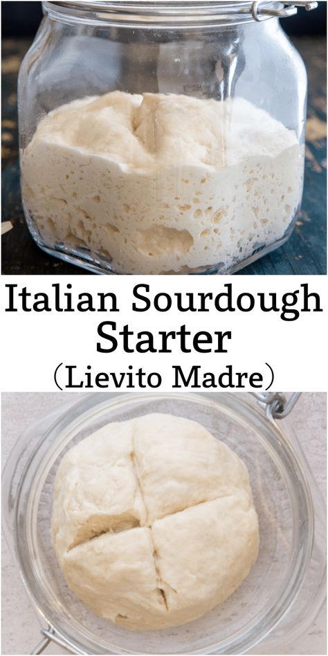 The Best Sourdough Starter Recipe, French Sourdough Starter, Italian Dough Recipe, High Altitude Sourdough Starter, Bread Recipes Using Sourdough Starter, Cassava Sourdough Starter, Pasta Madre Recipe, How To Make Your Own Sourdough Starter, Sough Dough Starter Recipes