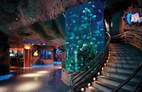 Aquarium~ Houston Aquarium, Outdoor Aquarium, Aquarium Restaurant, Family Vacations In Texas, Aquarium Architecture, Public Aquarium, Amazing Aquariums, Reference Ideas, Fantasy Furniture