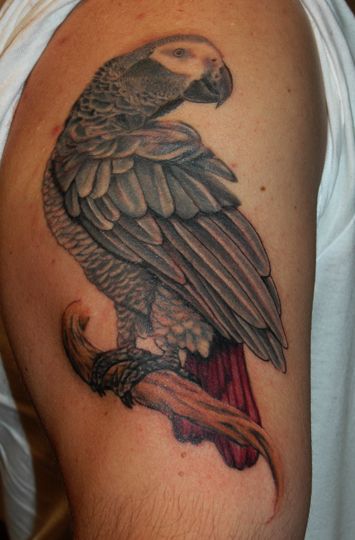 African Grey Tattoo African Grey Tattoo, African Grey Parrot Tattoo, Parrot Tattoos, Tattoo Birds, Gray Parrot, Parrot Tattoo, Like A Tattoo, Tattoo Board, Brown Pride