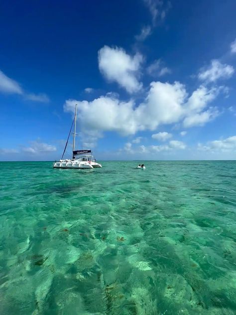 SEAductressLuxury Day Sail & Snorkel | Belize Adventure Tours with Seaduced by Belize Belize Aesthetic, Belize Trip, Belize Vacation, Belize Vacations, Caye Caulker, Ambergris Caye, Beach Bbq, Coral Garden, Dinner Cruise