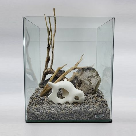 Cubone Skull Aquarium Decoration From Pokémon Available in 3 - Etsy Pokemon Aquarium, Skull Aquarium, Cubone Skull, Indoor Water Garden, Betta Tank, Hardscape Design, Beautiful Art Paintings, Fish Tanks, Aquarium Decorations