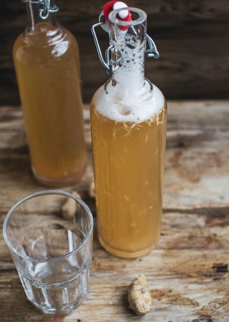 Healthier Homemade Ginger Beer - Home Grown Happiness Fermented Ginger, Ginger Beer Drinks, Homemade Ginger Beer, Ginger Beer Recipe, Homemade Ginger Ale, Fermented Drinks, Ginger Bug, Homemade Liquor, Homemade Soda