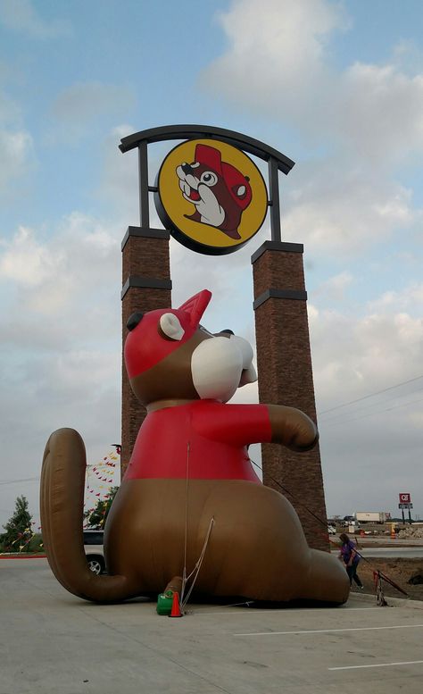 Buc-ees Texas, Bucees Texas, Grey Acrylic Nails, Travel Texas, Charlie Daniels, Tri Sigma, Wallpapers Cartoon, Texas Art, Cars Vintage