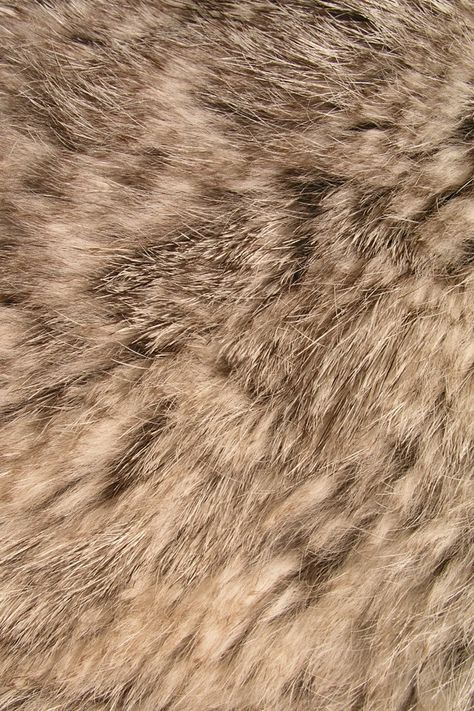 Fur Background, Fur Texture, Animal Print Wallpaper, Iphone 6 Wallpaper, Texture Photography, Animal Fur, Animal Skin, Print Wallpaper, Color Textures