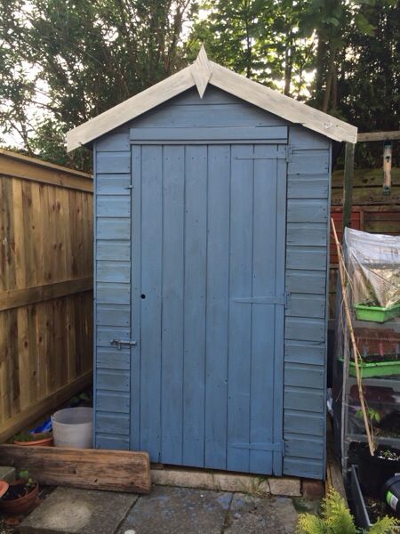 My Garden Year 1: The Shed Painted Forget Me Not Blue Small Shed Paint Ideas, Blue Shed White Trim, Shed Blue Door, Small Shed Ideas, Shed Paint Colours, Painted Sheds, Painted Garden Sheds, Garden Pavillion, Blue Shed