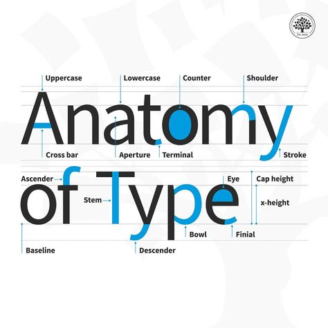 Another informative chart showing the anatomy of the type we use nearly every day. Anatomy Of Type, Anatomy Of Typography, Type Anatomy, Free Cursive Fonts, Own Language, Free Script Fonts, Type Posters, Creative Fonts, Interaction Design