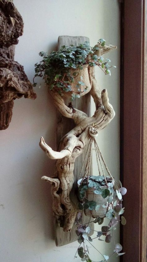 720×1280 Takken Decor, Driftwood Planters, Bloxburg Hallway, Driftwood Diy, Driftwood Art Diy, Plant Hanging, Driftwood Projects, Entrance Modern, Deco Nature