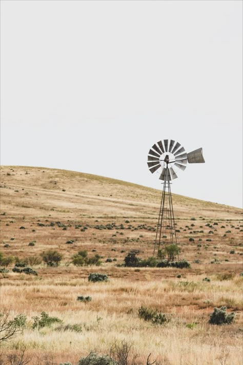 Rural Australia Aesthetic, Australian Country Aesthetic, Australiana Aesthetic, Western Mood Board, Prairie Aesthetic, Tamworth Nsw, Rural Australia, Rural Photography, Australian Farm