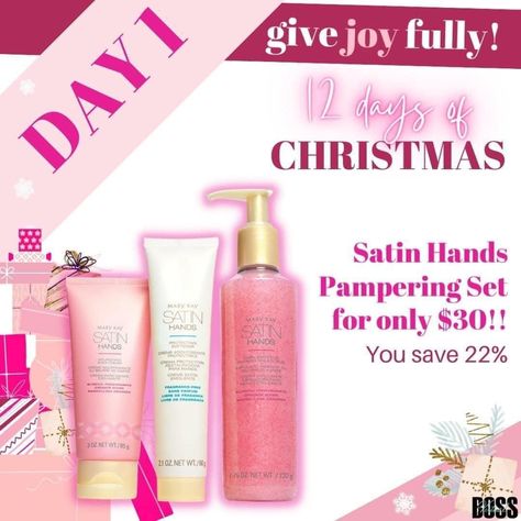 Mary Kay Christmas 2023, Marykay Holiday 2023, Mary Kay 12 Days Of Christmas 2023, Mary Kay Holiday 2023, Mary Kay Office, Mary Kay Christmas, Mary Kay Holiday, Skin Studio, Mary Kay Satin Hands