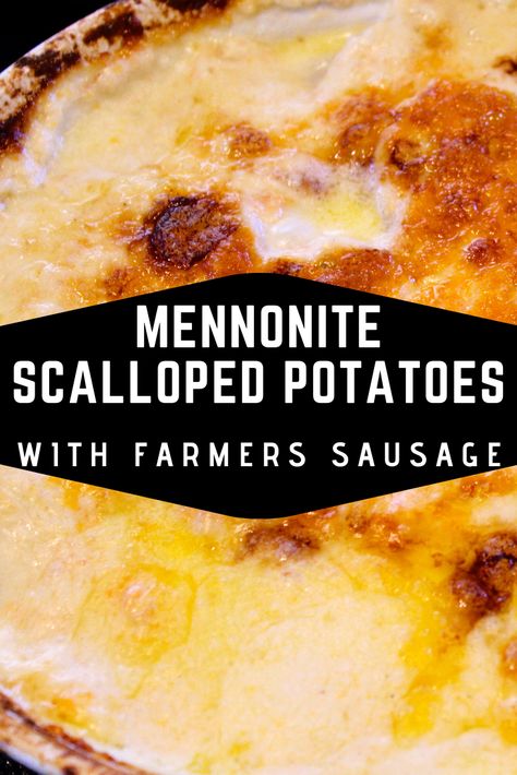 Mennonite Dinner Recipes, Mennonite Recipes Soup, Sausage And Scalloped Potatoes, Russian Mennonite Recipes, Scalloped Potatoes With Sausage, Farmer Sausage Casserole, Mennonite Sausage Recipes, Farmer Sausage Recipes Dinners, Farmers Sausage Recipes