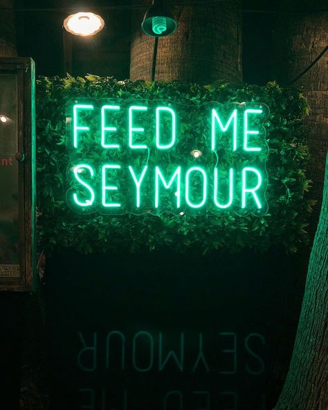 Seymour Krelborn Aesthetic, Little Shop Of Horrors Halloween Decor, Little Shop Of Horrors Aesthetic, Seymour Krelborn, Little Shop Of Horrors Poster, Orin Little Shop Of Horrors, Seymour Little Shop Of Horrors, Audrey Ii Little Shop Of Horrors, Feed Me Seymour