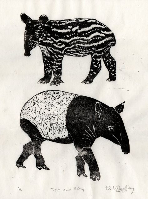 Tapir and Baby Linocut by minouette on Etsy, $40.00 Malayan Tapir, Tier Tattoo, Black And White Coat, Baby Print Art, Organic Art, Rhinos, Endangered Animals, An Elephant, White Coat