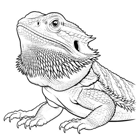 bearded dragon coloring pages dragon animal coloring pages free coloring pages Bearded Dragon Drawing, Coloring Pages Dragon, Bearded Dragon Colors, Dragon Tattoo Stencil, Bearded Dragon Tattoo, Dragon Line, Dragon Coloring, Dragon Coloring Page, Color Pages