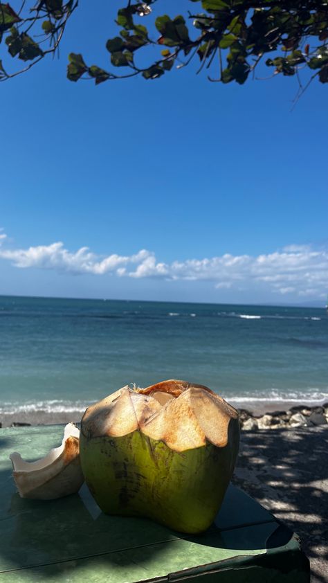 Bali Aesthetic, Bali Coconut, Sanur Bali, Bali Guide, Ocean Aesthetic, Girls Trip, Summer Girls, Bali, Coconut