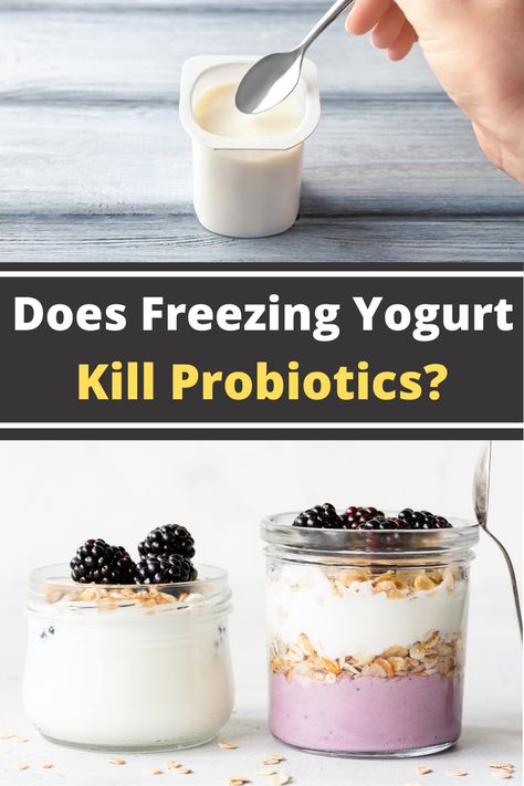 What happens when you take advantage of that yogurt sale and end up with more yogurt than you can eat? Typically we throw things in the freezer to enjoy them later but does freezing yogurt kill the healthy probiotics? So can you freeze yogurt or will that kill the probiotics? Freezing yogurt will not kill the probiotics. The probiotics will enter a dormant state from the cold temperatures and will awaken when brought back to room temperature. Can You Freeze Greek Yogurt, How To Freeze Yogurt, Can You Freeze Yogurt, Freeze Yogurt, Freezing Yogurt, Activia Yogurt, Frozen Greek Yogurt, Frozen Yogurt Recipes, Probiotic Yogurt