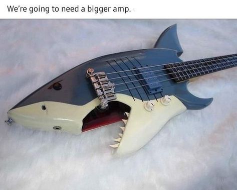 I Love Bass, Shark Pictures, Image Swag, Cool Electric Guitars, Cute Shark, The Whale, 웃긴 사진, Whale Shark, Guitar Design