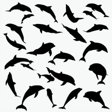 dolphin clipart black and white,abstract,animals,background,collection,cute,decoration,decorative,dolphin,dolphins,drawing,element,fin,fish,illustration,image,jumping,life,line,lines,mammal,nature,ocean,sea,set,silhouette,swoosh,vector,water,wildlife,line vector,lines vector,fish vector,water vector,abstract vector,silhouette vector,sea vector,nature vector,decorative vector,decoration vector,dolphin vector,ocean vector,cute vector,swoosh vector Dolphin Clipart, Ocean Vbs, Dolphin Silhouette, Dolphin Drawing, Dolphin Graphic, Underwater Cartoon, Dolphins Tattoo, Mermaid Cartoon, Vector Portrait Illustration