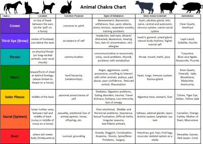 Animal chakra chart Animal Chakras, Chakra Elements, Chakra Chart, Horse Lessons, Animal Reiki, Colour Therapy, Horse Info, Grooming Shop, Animals Love