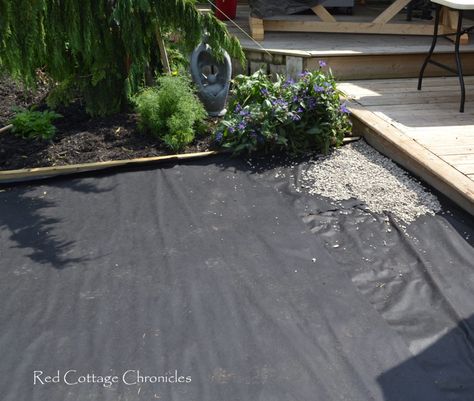 Patio Pea Gravel, Concrete Alternatives, Grass Patio, Ideas Backyard Patio, Pea Gravel Patio, Concrete Patio Makeover, Backyard Hammock, No Grass Backyard, Gravel Patio