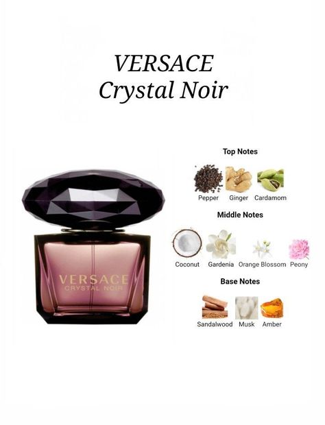 Follow my pinterest @danina211 for more top, middle and base notes to perfumes and fragrances perfume guides&outfit ideas #affiliate Versace Noir Perfume, Versace Perfume Woman, Crystal Noir Perfume, Versace Crystal Noir Perfume, Noir Perfume, Versace Crystal Noir, Movado Watches, Watches Cartier, Crystal Noir