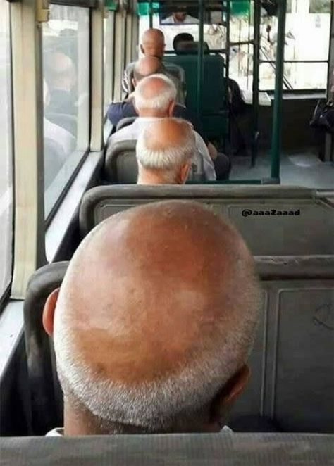 17 Photos That Are So Unlikely, They Seem Impossible Glitch In The Matrix, Perfectly Timed Photos, Morning Humor, Funny Photos, Funny Images, Funny Animals, Funny Jokes, Funny Gif, Funny Pictures