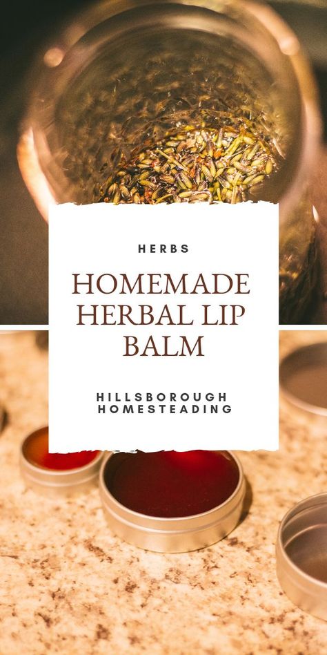 This easy, all-natural recipe for DIY lip balm couldn't be faster, or more fun! Combine herbs, oil and beeswax to make a medicinal, luxurious treat for your lips! Treat yourself (and your lips) to a beautifully tinted herbal lip balm that heals! Click on the pin to learn how! | Hillsborough Homesteading #herbs #herbal #herbalremedies #DIY #natural Herbal Lip Balm, Perfume Diy, Homestead Diy, Lip Balm Recipe, Spa Stuff, Diy Lip Balm Recipes, Balm Recipe, Healty Dinner, Homestead Ideas