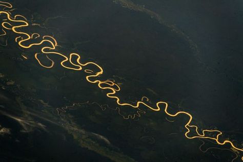 Just look at this photograph of the Amazon River! It looks like gold flowing through a darkened forest. It is not enhanced; the sunlight reflecting off the water among the darkened trees are due to the angle. This photo from taken from the International Space Station, by German ESA astronaut Alexander Gerst in 2018. You can see how the river is much longer than the distance it travels through, as thousands of years of flowing water has formed meanders and even oxbow lakes where the meander has c Betty Carter, Meandering Rivers, Look At This Photograph, Congo River, Gold River, Amazon River, Black And White Tree, World Images, Carl Sagan