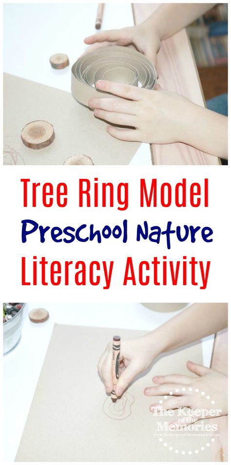 If you're exploring Preschool Life Cycles or even working on a preschool orchard theme, here's a fun Tree Ring Model Literacy Activity for Little Kids. This one's so quick & easy to put together that you're definitely going to want to check it out! Trees For Preschool Learning, Family Tree Project For School, Tree Crafts For Toddlers, Family Tree Crafts, Tree Crafts Preschool, Nature Preschool, Tree Life Cycle, Project For School, Family Tree Craft