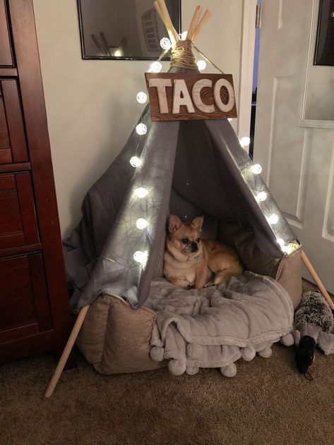 Dog Corner In Bedroom, Dog Tipi, Teepee Diy, Dog Fort, Cats Room, Dog Nook, Dog Teepee, Stylish Dog Beds, Dog Bedroom