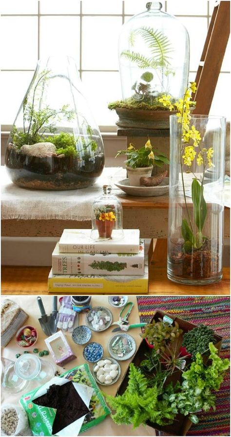 20 Magical DIY Fairy Gardens That Add Wonder To Your Home And Garden - DIY & Crafts Best Terrarium Plants, Terrariums Diy, Large Terrarium, Succulent Garden Indoor, Terrarium Containers, Air Plant Terrarium, Indoor Gardens, Terrarium Diy, Succulents Indoor