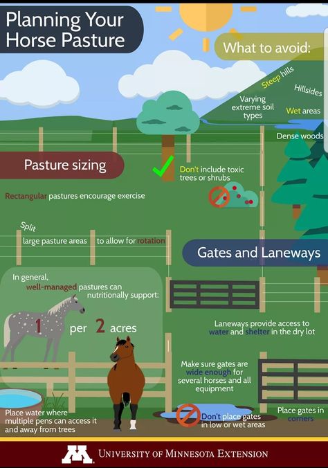 Horse Pasture Layout, Pasture Layout, Horse Pasture, Hobby Farm, Hobby Farms, Layout Ideas, Soil, Layout, Horses