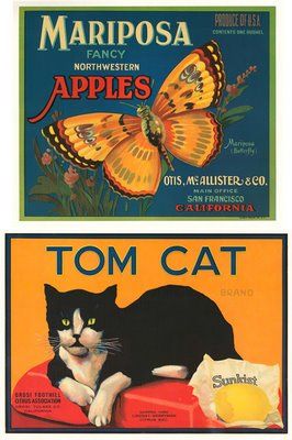 Love vintage fruit crate labels Evil Expression, Vintage Fruit Crate Label, Vegetable Crate Labels, Fruit Labels, Fruit Crate Label, Vintage Seed Packets, Vintage Advertising Art, Tom Cat, Vintage Crate