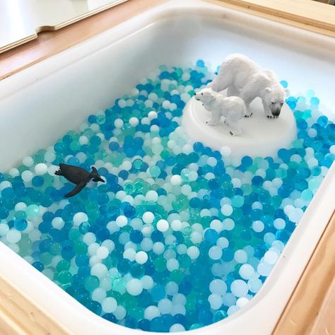 Arctic Animals Preschool, Please Trust Me, Toddler Sensory Bins, Me In The Morning, Ocean Theme Preschool, Party Activities Kids, Diy Kid Activities, Winter Activities Preschool, Toddler Sensory