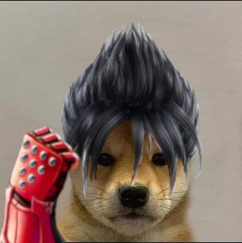 Tekken 7 Pfp, Tekken Memes Funny, Jin Kazama Pfp, Tekken Funny, Jin Kazama Icon, Tekken Pfp, Tekken Icons, Pfp Gamer, Tekken 7 Jin